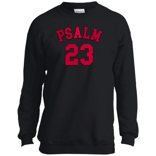 Psalm 23 Youth Red Unisex Crewneck Sweatshirt